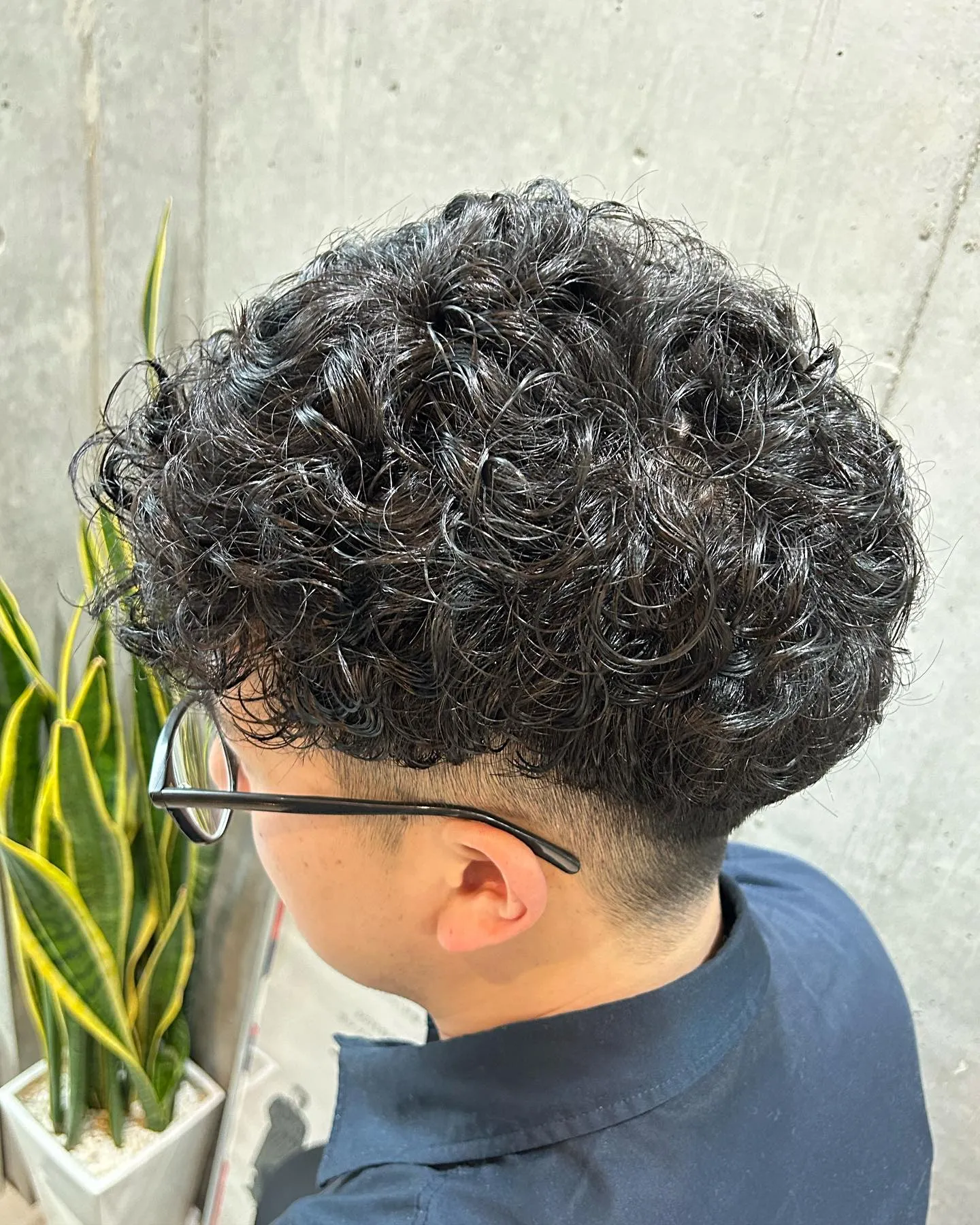 「プードルパーマ」