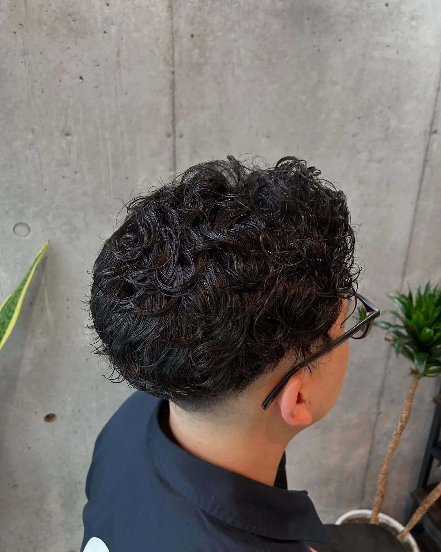 「ショートラルフカール」