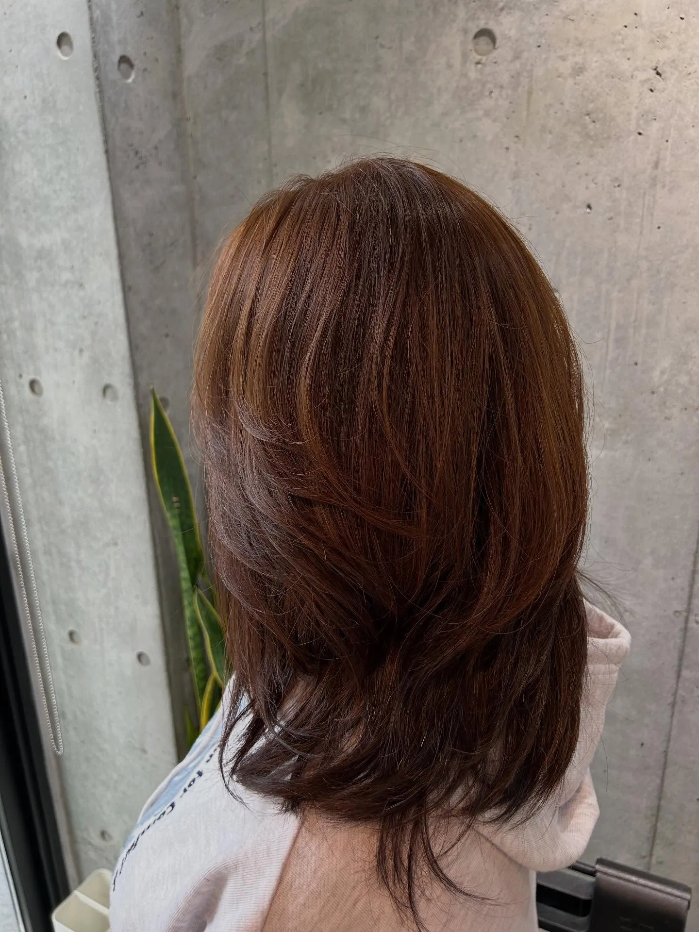 「ウルフレイヤー」