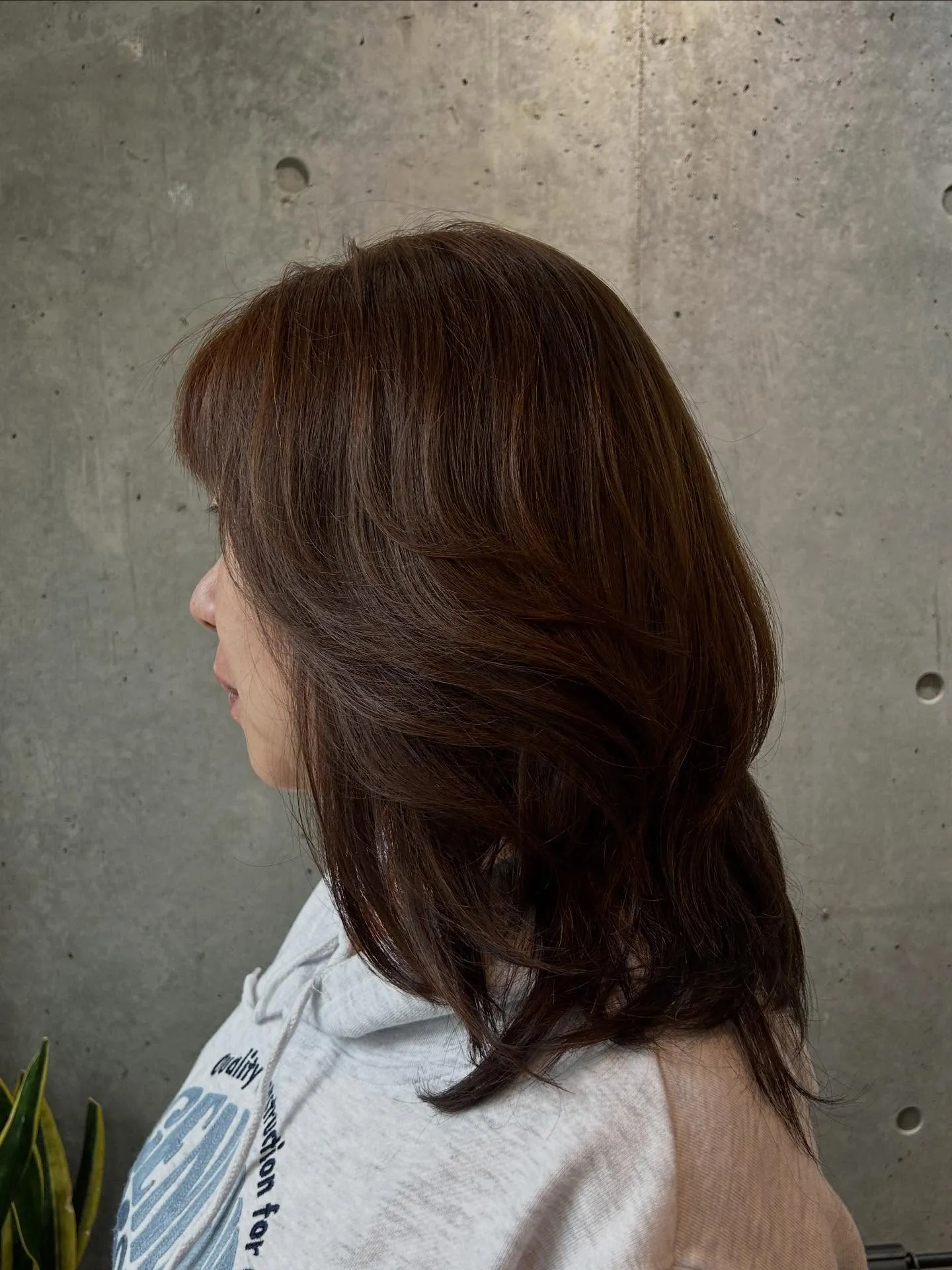 「ウルフレイヤー」